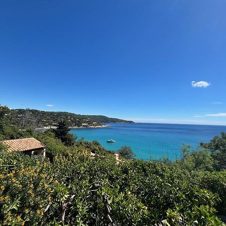 Appartement T3 - Residence De Standing Vue Vignes La Croix-Valmer Εξωτερικό φωτογραφία